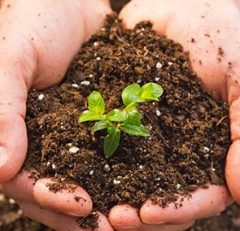 Yerli Torf 3 LT Çiçek Toprağı Perlit Karışımlı Torf