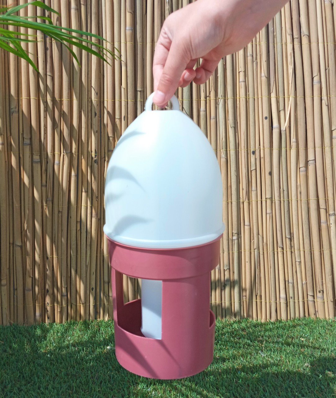 3 Adet 1,5 LT Güvercin Suluğu Suluk