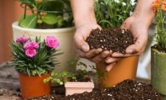 Yerli Torf 5 LT Çiçek Toprağı Perlit Karışımlı Torf