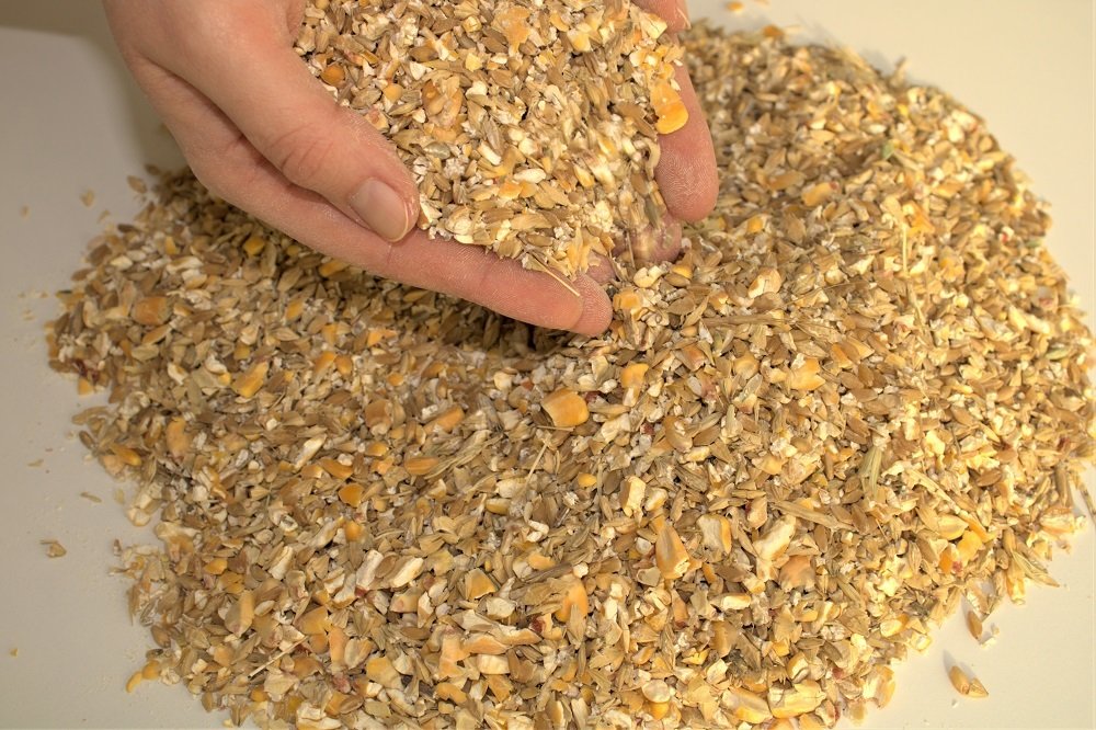 Tavuk Yemi 2 KG 3 Karışım Buğday Kırık Mısır Arpa Ezmesi Karışımı Güvercin Ördek Hindi Kanatlı Yemi