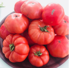 Domates Tohumu Köy Tipi 1 Paket 5 GR (1.2000 Adet) Tohum Sebze Tohumu