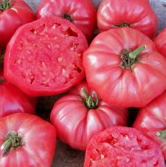 Domates Tohumu Köy Tipi 1 Paket 5 GR (1.2000 Adet) Tohum Sebze Tohumu