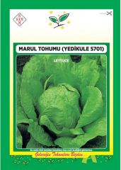 Marul Tohumu Yedikule 1 Paket (3000 Adet) Tohum Sebze Tohumu