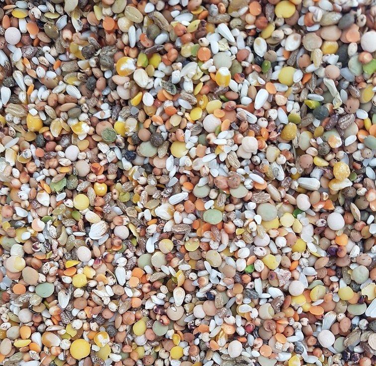 Güvercin Yemi 3 KG 10 Karışım Lüks Güvercin Yemi Kuş Yemi Kanatlı Hayvan Yemi