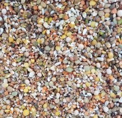 Güvercin Yemi 4 KG 10 Karışım Lüks Güvercin Yemi Kuş Yemi Kanatlı Hayvan Yemi