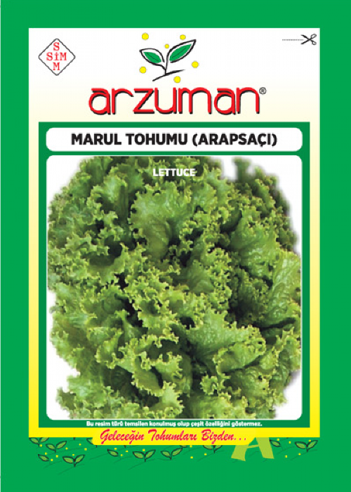 Arapsaçı Kıvırcık Tohumu 1 Paket (3000 Adet) Tohum Sebze Tohumu