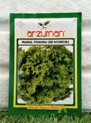 İri Kıvırcık Marul Tohumu 1 Paket (3000 Adet) Tohum Sebze Tohumu