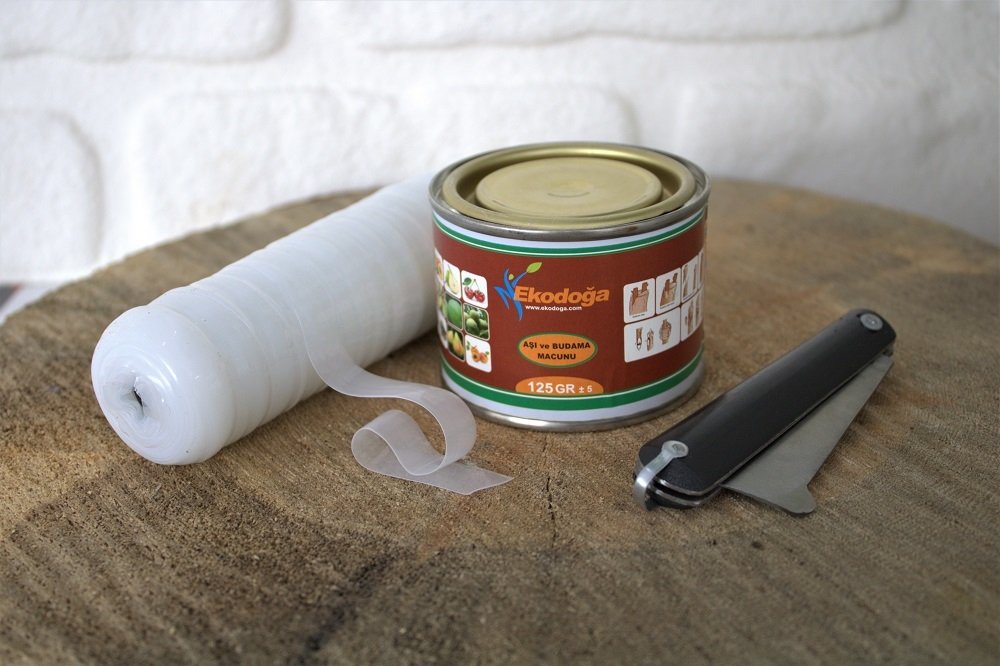 3\'lü Set 125 GR Aşı Macunu+ Aşı Bıçağı+Aşı Bandı