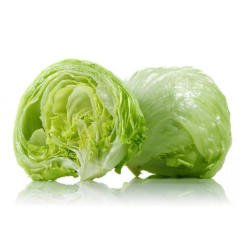 Iceberg Marul Tohumu 1 Paket (1500 Adet) Tohum Sebze Tohumu