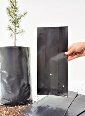 Fide Poşeti 15x35 CM 15 Adet  Fide Torbası Fidan Poşeti