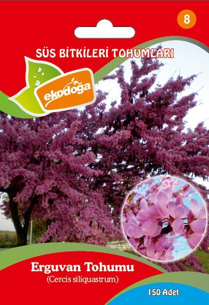 Erguvan Tohumu 1 Paket Erguvan Süs Bitkisi Tohumları