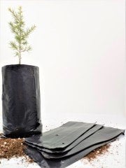 Fide Poşeti 15x35 CM 1 KG  Fide Torbası Fidan Poşeti