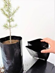 Fide Poşeti 15x35 CM 5 KG  Fide Torbası Fidan Poşeti