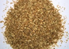 Huş Ağacı Tohumu 1 KG (100.000 Adet Tohum) Huş Ağacı Süs Bitkisi Tohumları