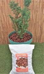 Kırmızı Pomza 20 KG 10-20 MM Lav Taşı  Cüruf Akvaryum Taşı