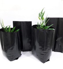 Fide Poşeti 22x35 CM 1 KG Fide Torbası Fidan Poşeti