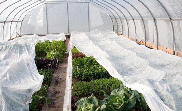 Don Kırağı Örtüsü 1,20x20 M Isı Tülü