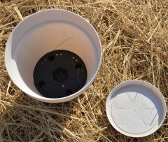 Renkli Saksı 3 LT 3 Adet Krem Renk Yalı Model Plastik Tabaklı Çiçek Saksısı