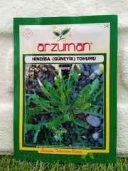 Hindiba (Güneyik) Tohumu 1 Paket (1500 Adet) Tohum Sebze Tohumu