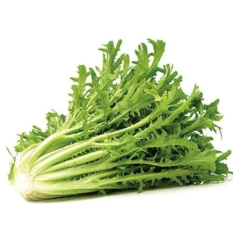 Hindiba (Güneyik) Tohumu 1 Paket (1500 Adet) Tohum Sebze Tohumu