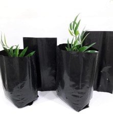 Fide Poşeti 22x40 CM 50 Adet  Fide Torbası Fidan Poşeti