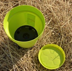 Renkli Saksı 3 LT 1 Adet Fıstık Yeşili Renk Yalı Model Plastik Tabaklı Çiçek Saksısı