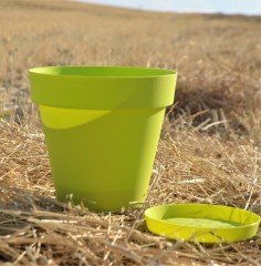 Renkli Saksı 3 LT 2 Adet Fıstık Yeşili Renk Yalı Model Plastik Tabaklı Çiçek Saksısı