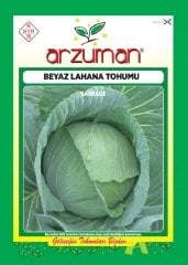 Beyaz Lahana Tohumu 1 Paket (3000 Adet) Tohum Sebze Tohumu