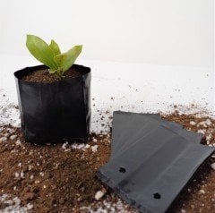 Fide Poşeti 9x15 CM 10 KG Fide Torbası Fidan Poşeti