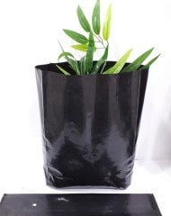 Fide Poşeti 25x50 CM 200 Adet  Fide Torbası Fidan Poşeti