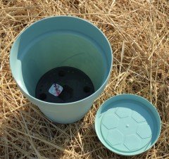 Renkli Saksı 3 LT 2 Adet Su Yeşili Renk Yalı Model Plastik Tabaklı Çiçek Saksısı