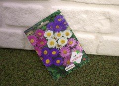 Aster Çiçeği Tohumu 1 Paket (50 Adet Tohum) Çiçek Tohumları