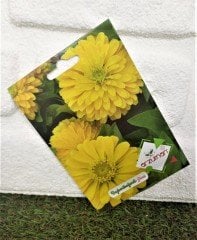 Beybenibeğendi Tohumu 1 Paket (30 Adet Tohum) Çiçek Tohumları