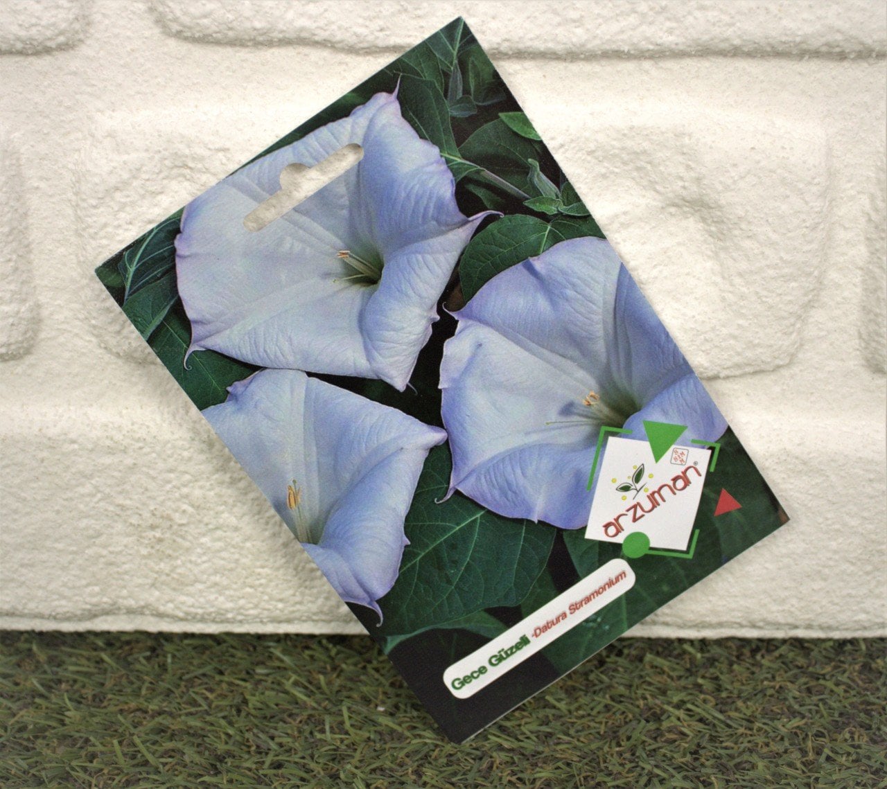 Gece Güzeli Tohumu 1 Paket (15 Adet Tohum) Çiçek Tohumları