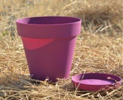 Renkli Saksı 3 LT 1 Adet Vişne Renk Yalı Model Plastik Tabaklı Çiçek Saksısı