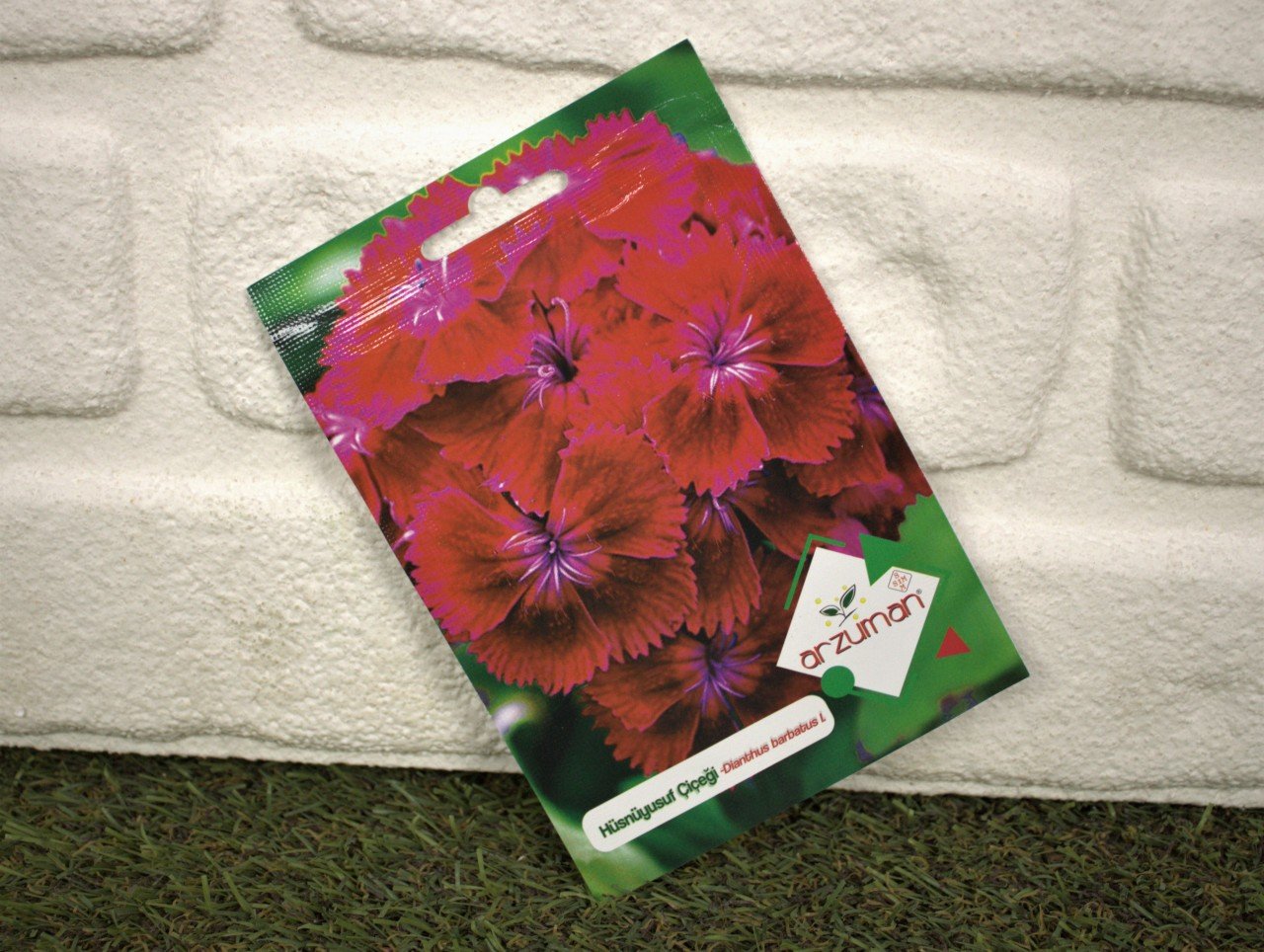 Hüsnüyusuf Tohumu 1 Paket (100 Adet Tohum) Çiçek Tohumları