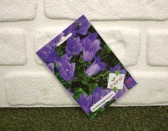 Kadeh/Çan Çiçeği Tohumu 1 Paket (100 Adet Tohum) Çiçek Tohumları