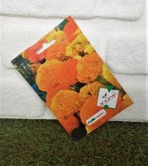 Kadife Çiçeği Tohumu 1 Paket (50 Adet Tohum) Çiçek Tohumları