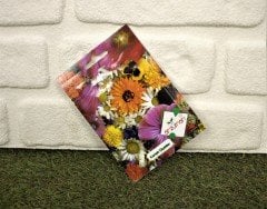 Karışık Çiçek Tohumu 1 Paket (50 Adet Tohum) Çiçek Tohumları