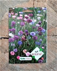 Kontur Çiçeği Tohumu 1 Paket (50 Adet Tohum) Çiçek Tohumları