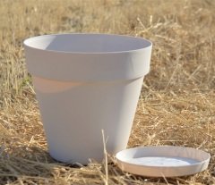 Renkli Saksı 6 LT 1 Adet Krem Renk Yalı Model Plastik Tabaklı Çiçek Saksısı