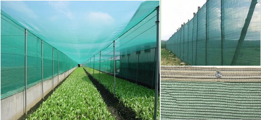 Gölgelik File 6x25 Metre % 55\' lik Dikişli Yeşil Bahçe Örtüsü Bahçe Filesi