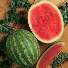 Karpuz Fidesi 10 Adet Crimson Sweet Fidesi Sebze Fidesi