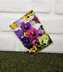 Menekşe Çiçeği Tohumu 1 Paket (100 Adet Tohum) Çiçek Tohumları