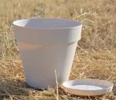 Renkli Saksı 6 LT 2 Adet Krem Renk Yalı Model Plastik Tabaklı Çiçek Saksısı