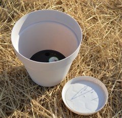 Renkli Saksı 6 LT 2 Adet Krem Renk Yalı Model Plastik Tabaklı Çiçek Saksısı