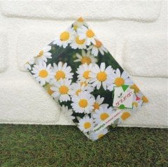 Papatya Çiçeği Tohumu 1 Paket (100 Adet Tohum) Çiçek Tohumları