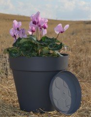 Renkli Saksı 6 LT 3 Adet Antrasit Renk Yalı Model Plastik Tabaklı Çiçek Saksısı