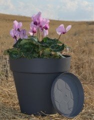 Renkli Saksı 6 LT 3 Adet Antrasit Renk Yalı Model Plastik Tabaklı Çiçek Saksısı