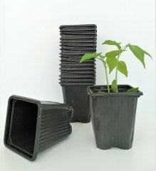 10 Adet Kare Vakum Saksı 8x8x9 CM Ucuz Saksı Üretim Saksısı